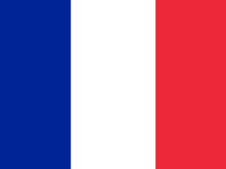 https://www.floordesign-resine.com/w2020/wp-content/uploads/2020/03/drapeau-francais-320x240.png